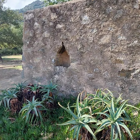 La Bergerie Saint Michel * Muro (Corsica)