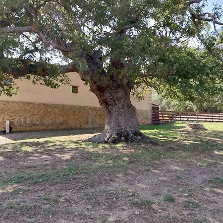 La Bergerie Saint Michel Muro (Corsica)