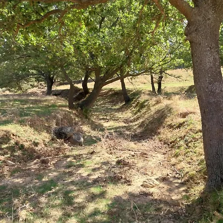 Ferienhaus La Bergerie Saint Michel Muro (Corsica)
